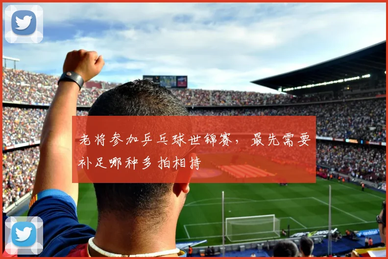 老将参加乒乓球世锦赛，最先需要补足哪种多拍相持