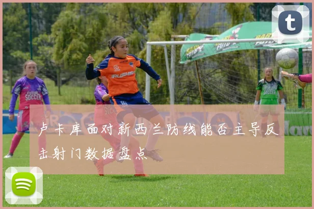 卢卡库面对新西兰防线能否主导反击射门数据盘点