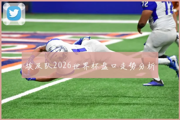 埃及队2026世界杯盘口走势分析