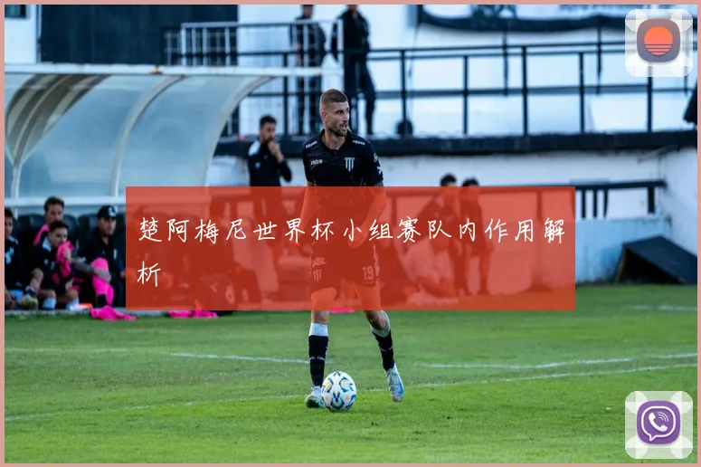 楚阿梅尼世界杯小组赛队内作用解析
