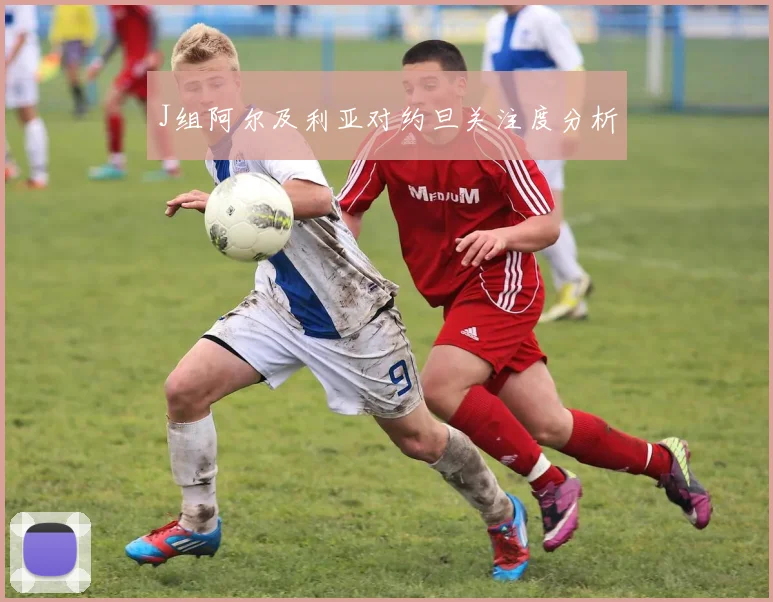 J组阿尔及利亚对约旦关注度分析